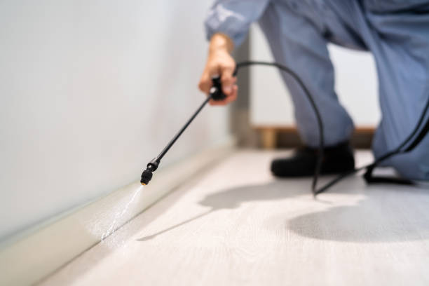 Licensed Cockroach Control service in California, PA - Nex Pest Control
