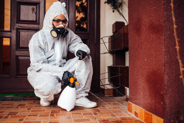 Reliable Cockroach Control contractor in California, PA by Nex Pest Control